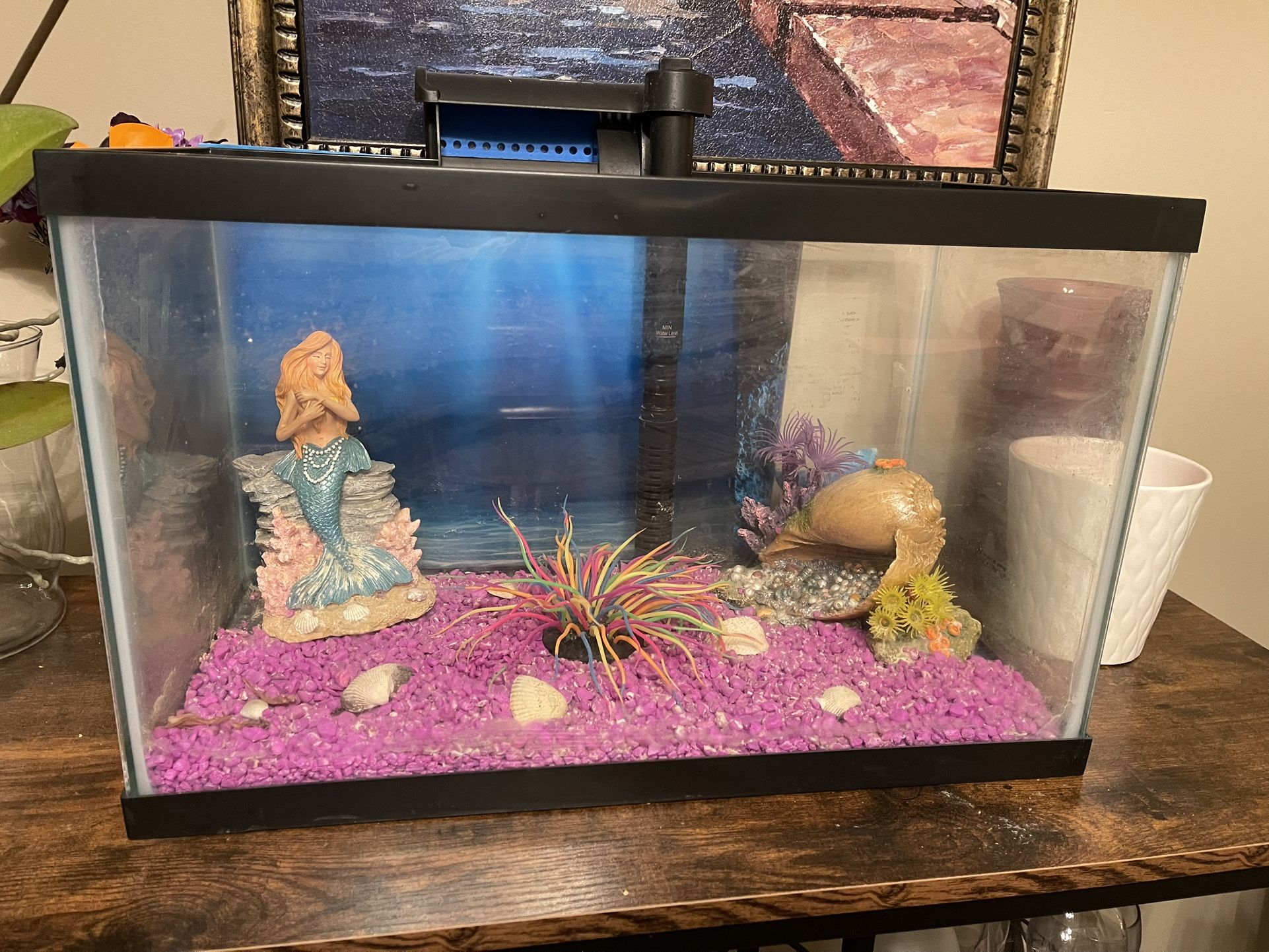 10 Gallon Fish Tank, With Heater And Filter