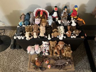 Beanie Babies ❤️ Collection