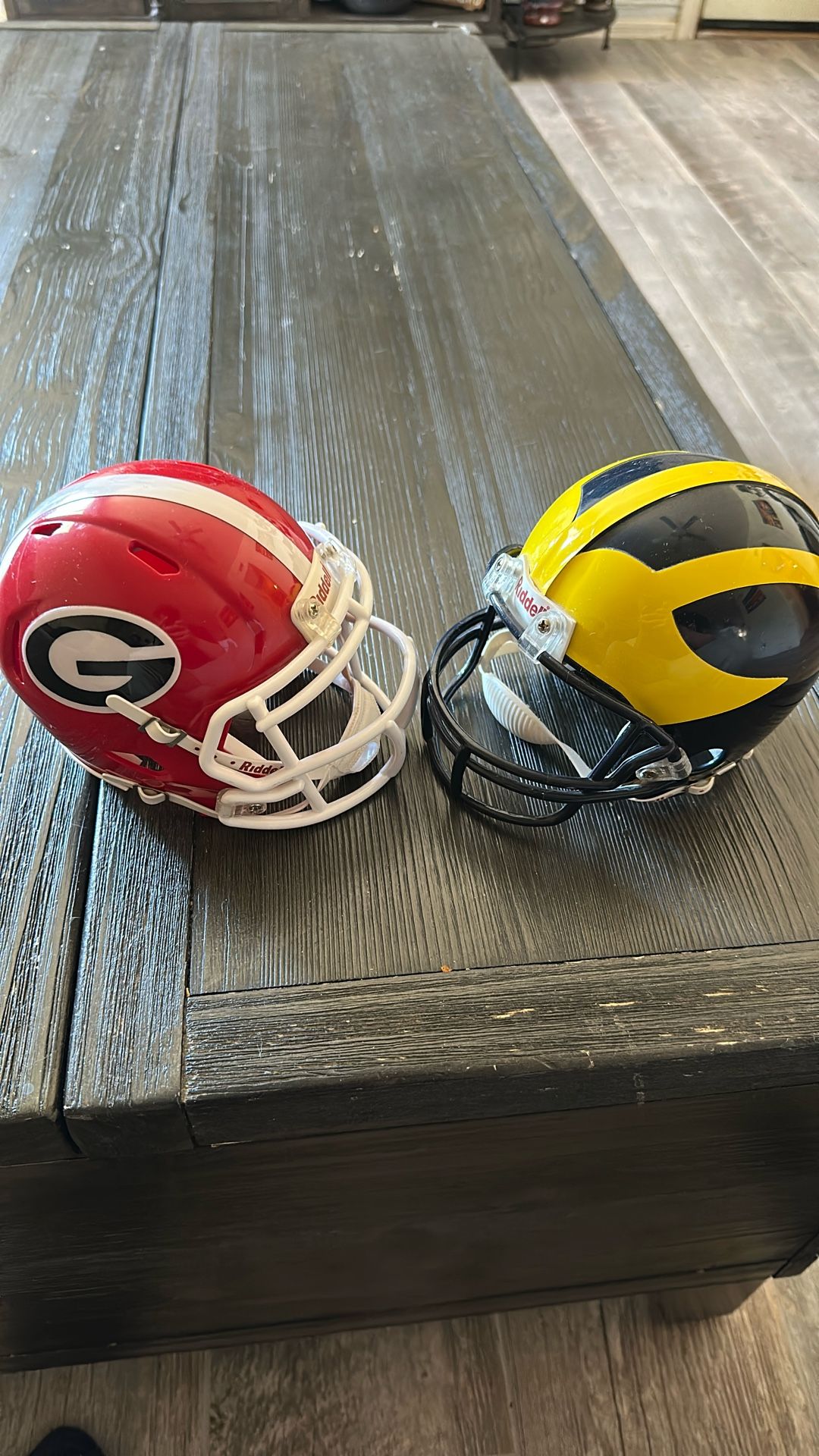 Georgia And Michigan Mini Helmets