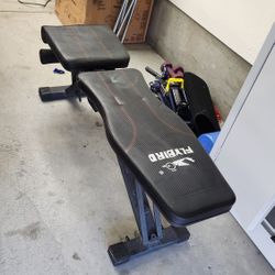 💪 Flybird Collapsible Workout Bench 💪