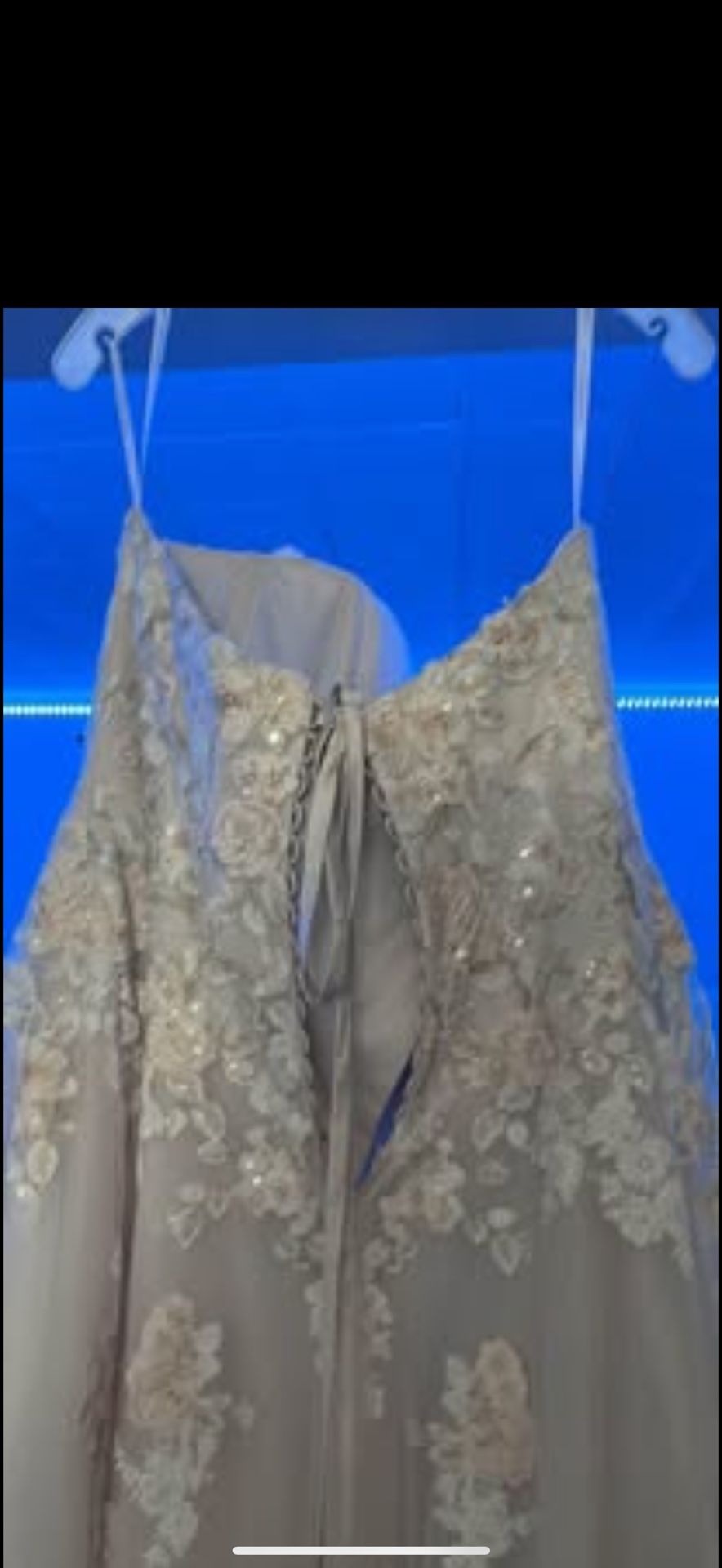 Beautiful David’s Bridal Wedding Dress and matching Veil