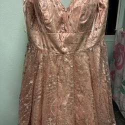 Beautiful Rose Gold Sparkly Dress