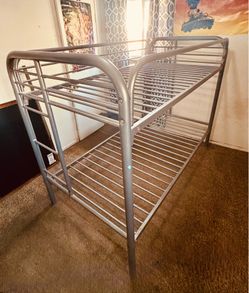 Grey bunk bear for sale $50