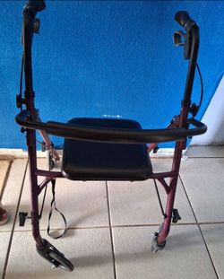 Transport walker
