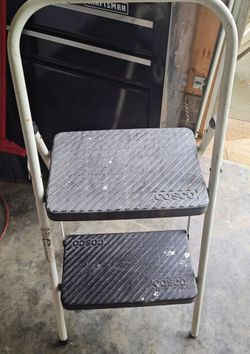 Cosco Step Ladder