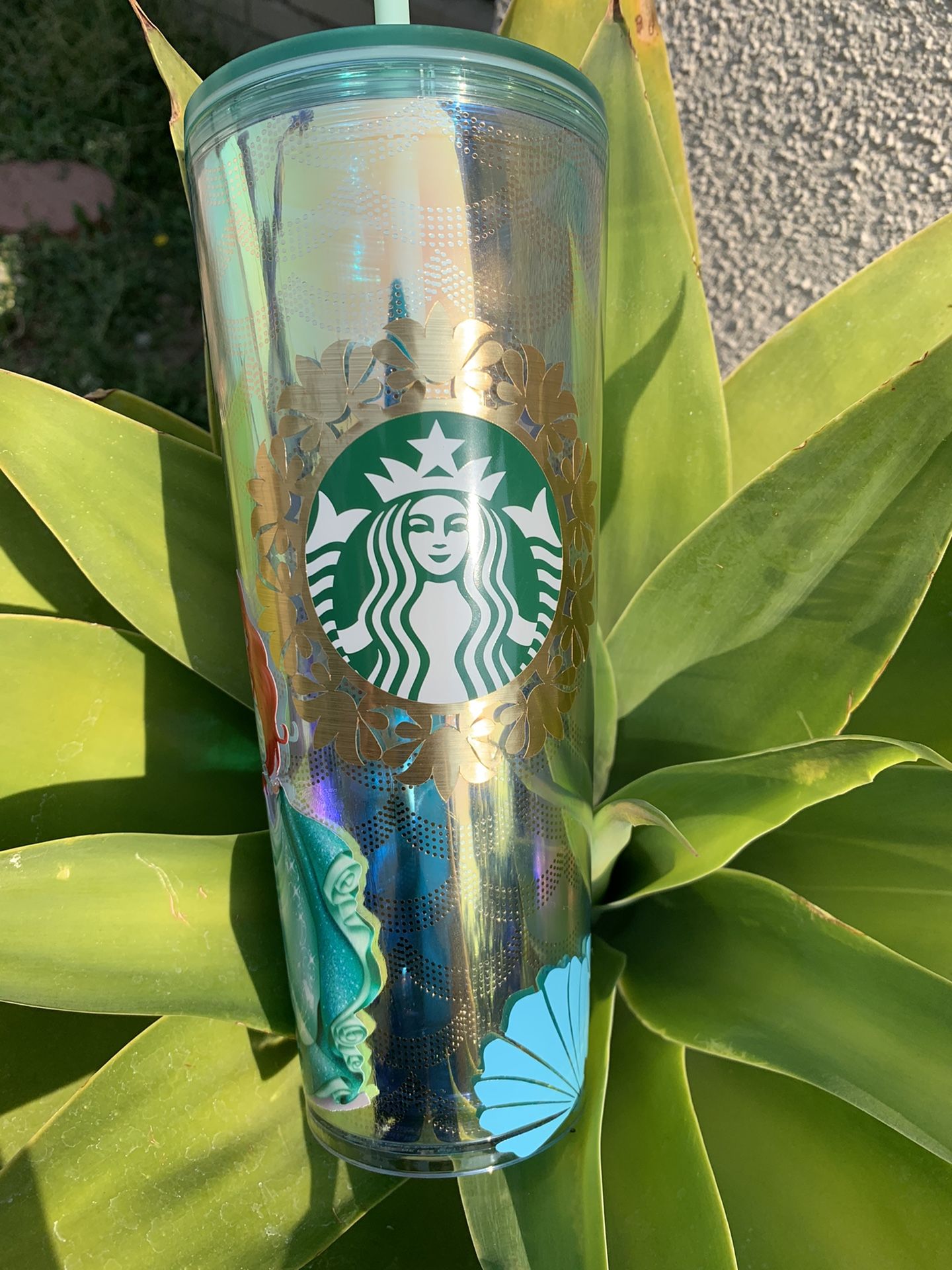 Ariel Starbucks cup ⭐️