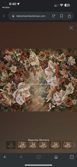 Backdrop Flowers Photography 
