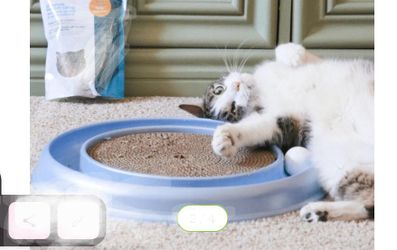 Turbo Scratcher Cat Toy