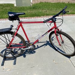 Nishiki Mountain bike