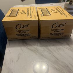 Cesar Cat Food
