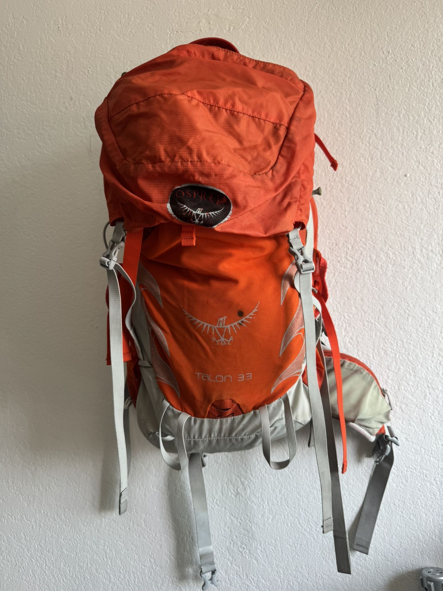 Osprey Backpack
