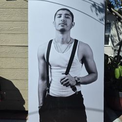 NETON VEGA  TOUR  POSTERS