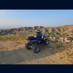 2005 200cc Automatic Phoenix Polaris 