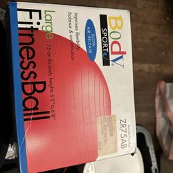 Exercise Ball