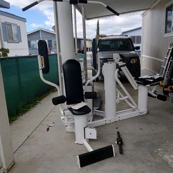 Selling a complete home gym  Vectra On-line 1800 Excellent condition and always stored indoors, everything Works Great 