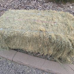 Free Bale Of Bermuda