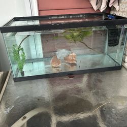 40 gallon fish tank.