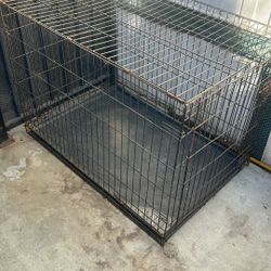 Dog House Extra Large