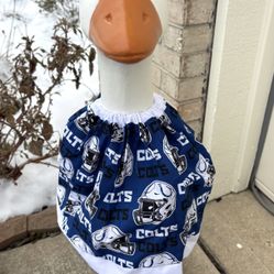 Porch Goose Team Outfit