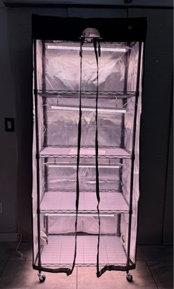 NEW WORTH Mini Greenhouse with LED Grow Lights & Digital Thermo (27.6"L x 15.8"W x 71"H)