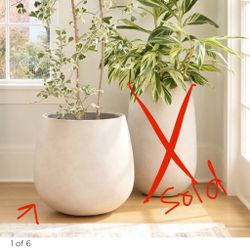 Beige Indoor Or Outdoor Plantar