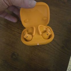 Beats Powerbeats Pro 2 Wireless Earbuds (NEW)