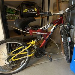 Teen/Adult Bike