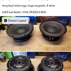 10" Eminence Pro Voice Speakers
