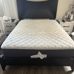 Queen Bed Frame + Mattress  + Box Frame