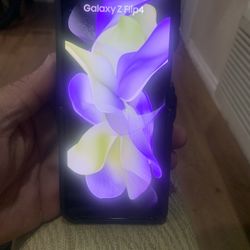 Galaxy Z Flip4