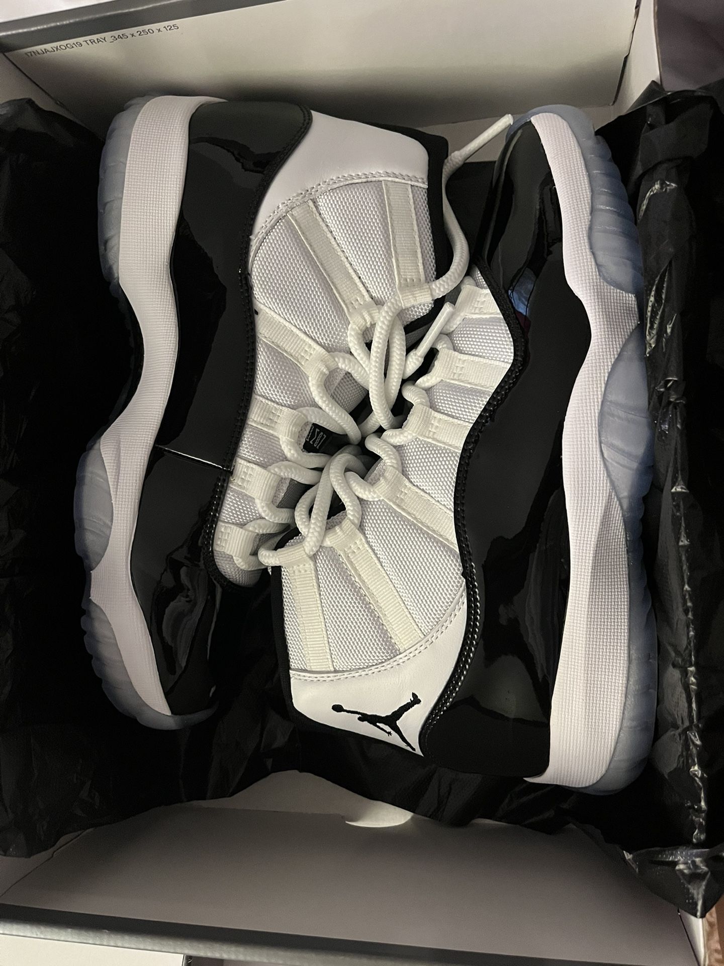 Jordan Retro 11 Concord 