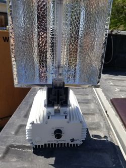 Gavita Pro 1000e Grow Lights (80 Available)