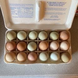Fresh Eggs 