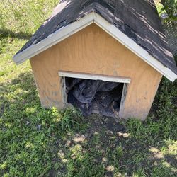 dog house