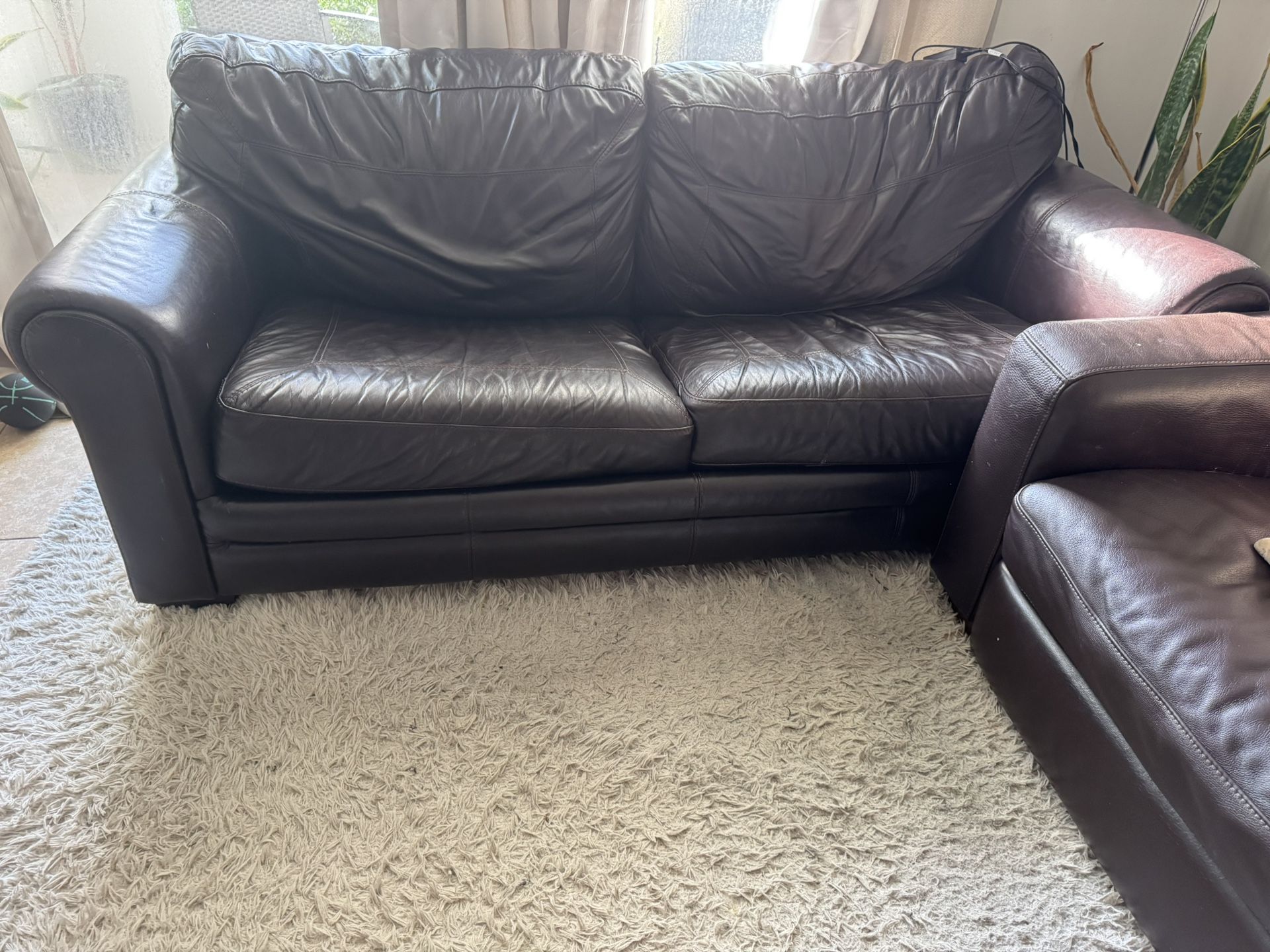 Sleeper Sofa