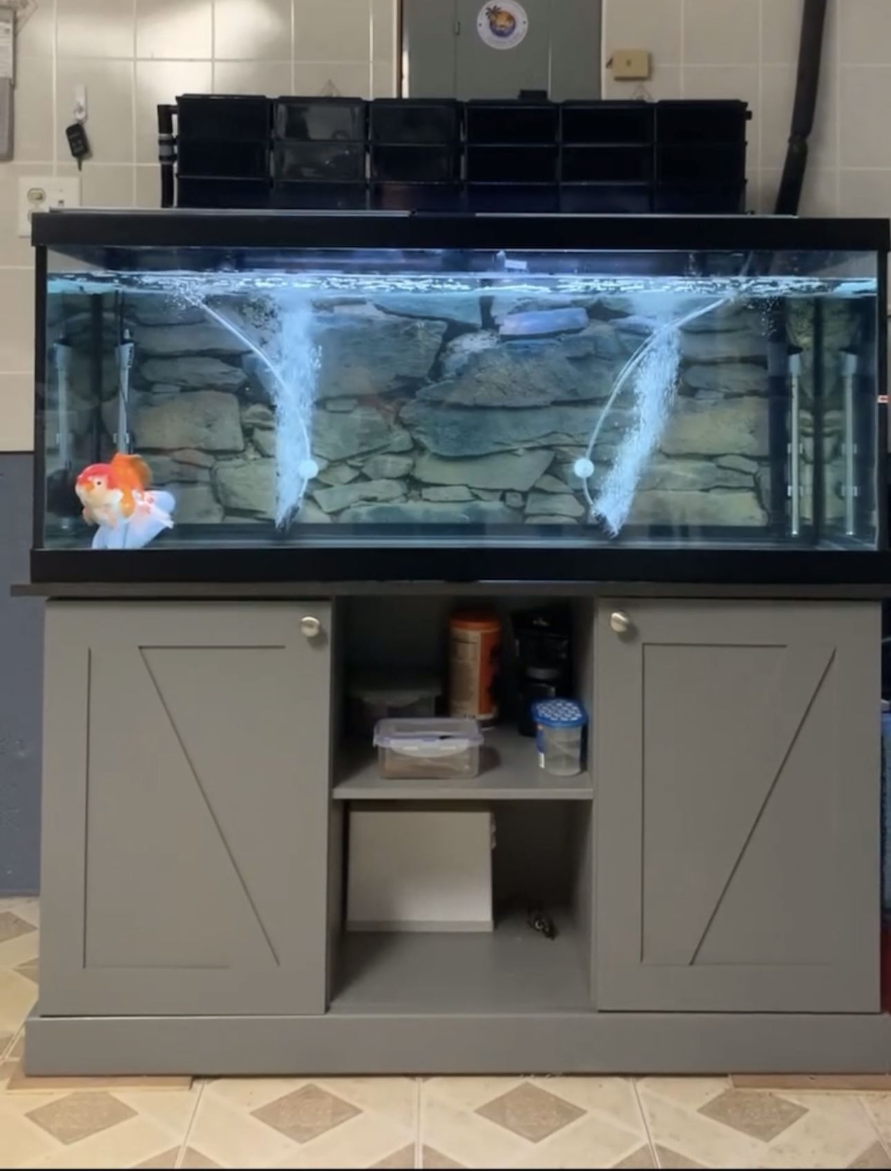 Fish Tank Aquarium, 75 Gallons With Stand And Lids