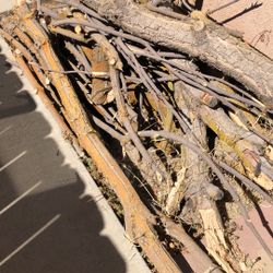 Free Firewood 