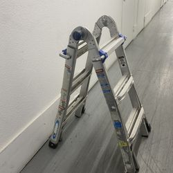 Compact Extendable Ladder