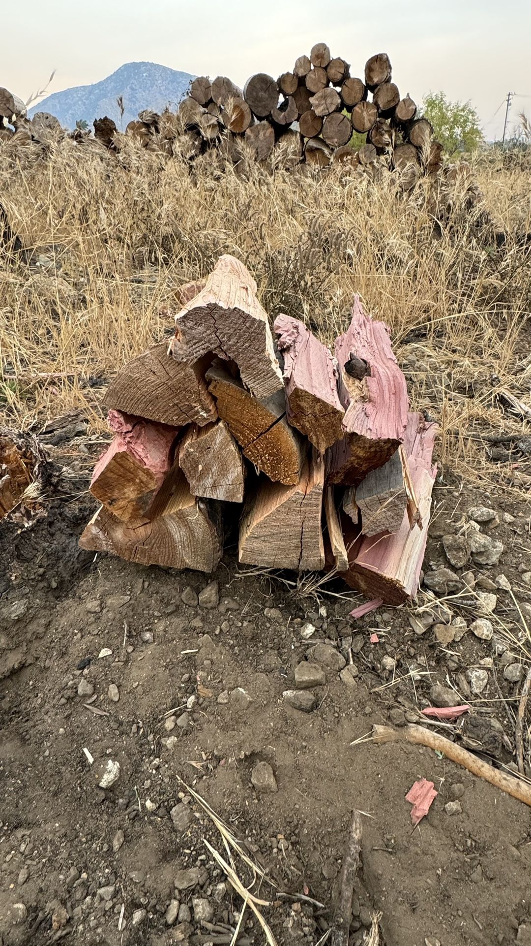 Fire Wood For Sale. Pine.
