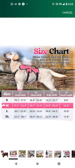 RabbitGoo dog Harness