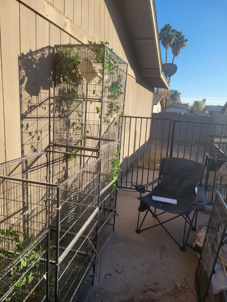 Large Bird Cage