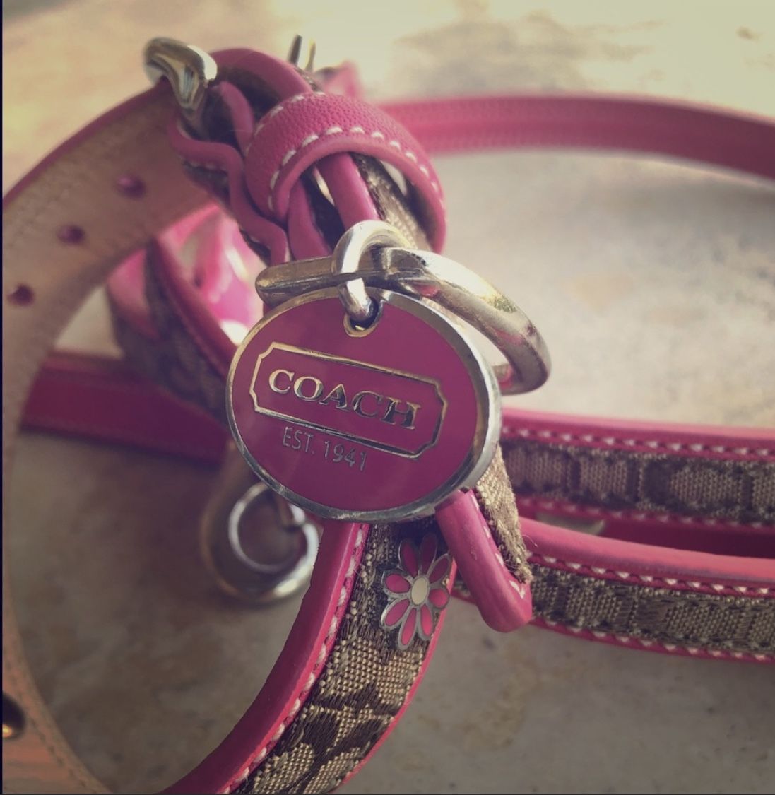 Super Rare!! Coach Signature Collar/Leash Set for Sale in Murrieta