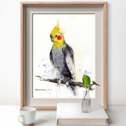 Painting cockatiel bird