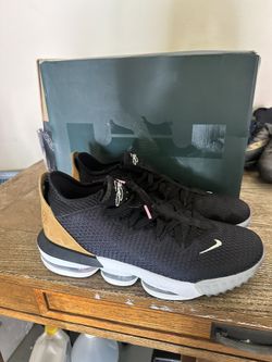 LeBron XvI Low