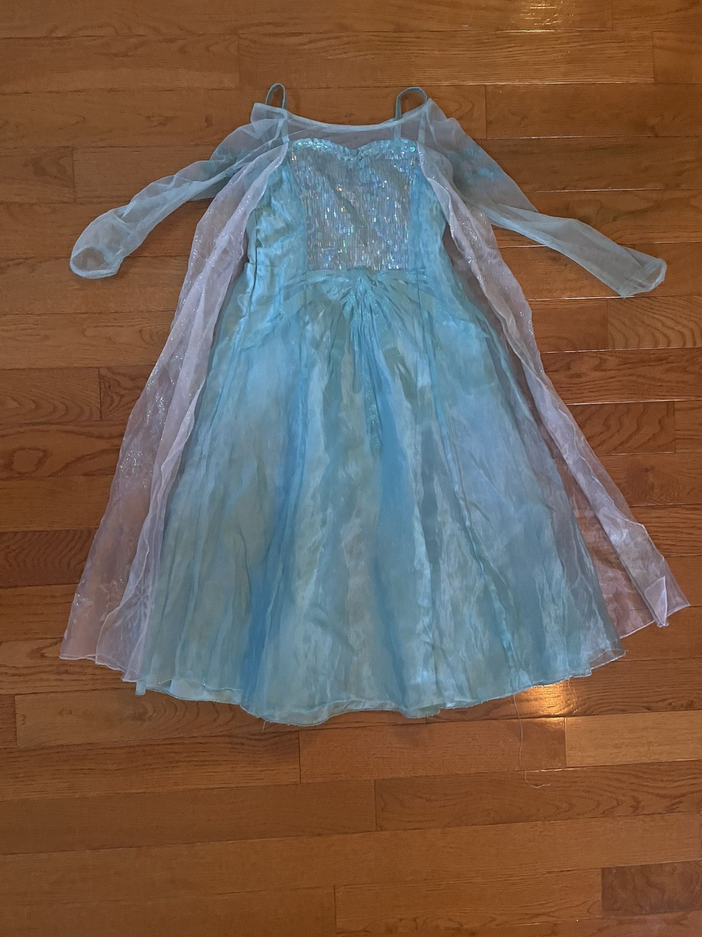 Elsa Costume