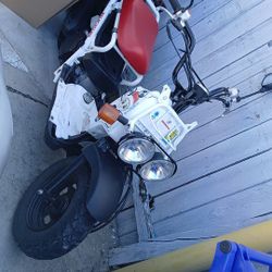 Honda Moped For Sale 