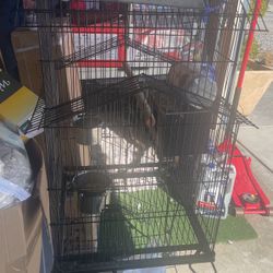 Bird Cage