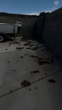 Dog Poop Cleaner