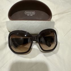 Coach Sunglasses HC8029 - Brown