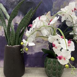 2 Faux Plants: Orchid and Snake Plant